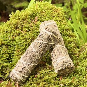 Sauge blanche parfumée à la Lavande