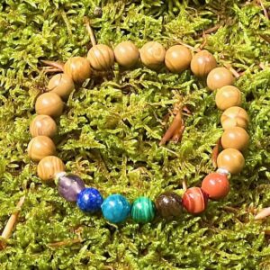 Bracelet Bois fossilisé & Pierres des Chakras