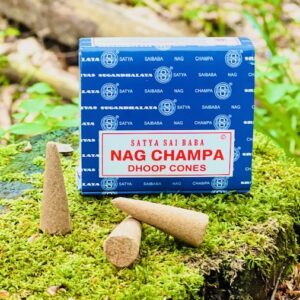 Satya - Cônes Nag champa