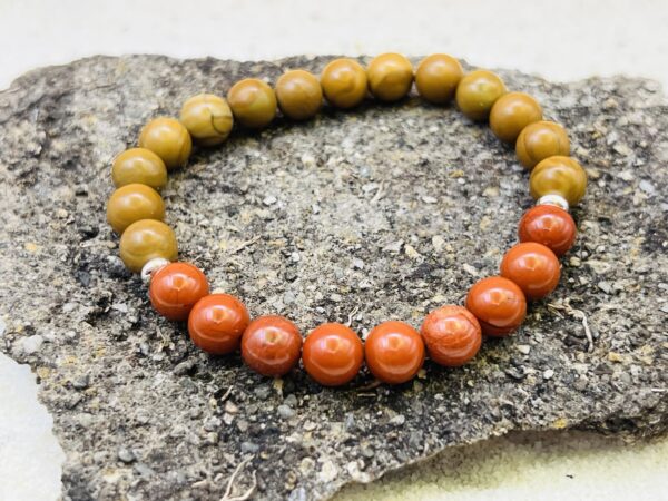 Bracelet Bois fossilisé & Jaspe rouge 8mm