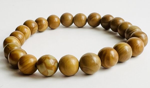 Bracelet Bois fossilisé 8mm – Image 3